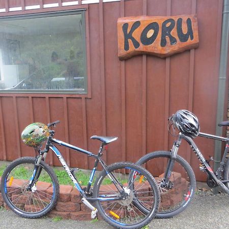 Koru Beachfront Holiday Cabins & Hot Tub Barrytown Luaran gambar