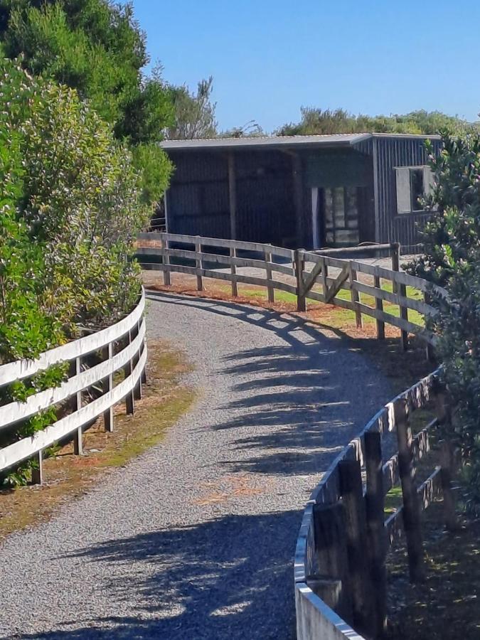 Koru Beachfront Holiday Cabins & Hot Tub Barrytown Luaran gambar