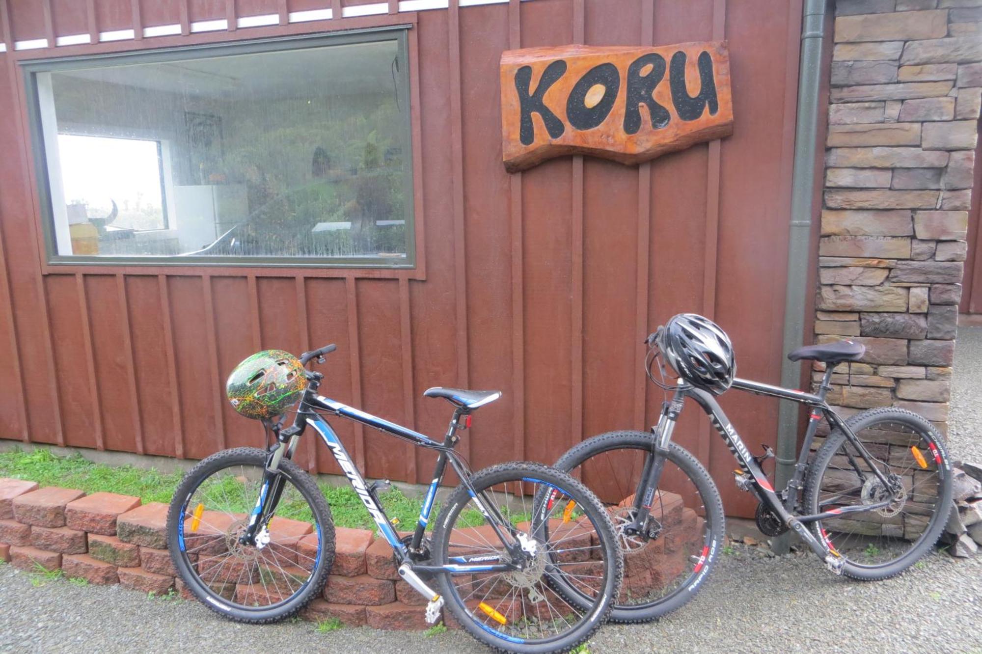 Koru Beachfront Holiday Cabins & Hot Tub Barrytown Luaran gambar